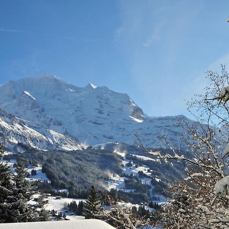 Apartment Primula By Interhome Wengen Buitenkant foto