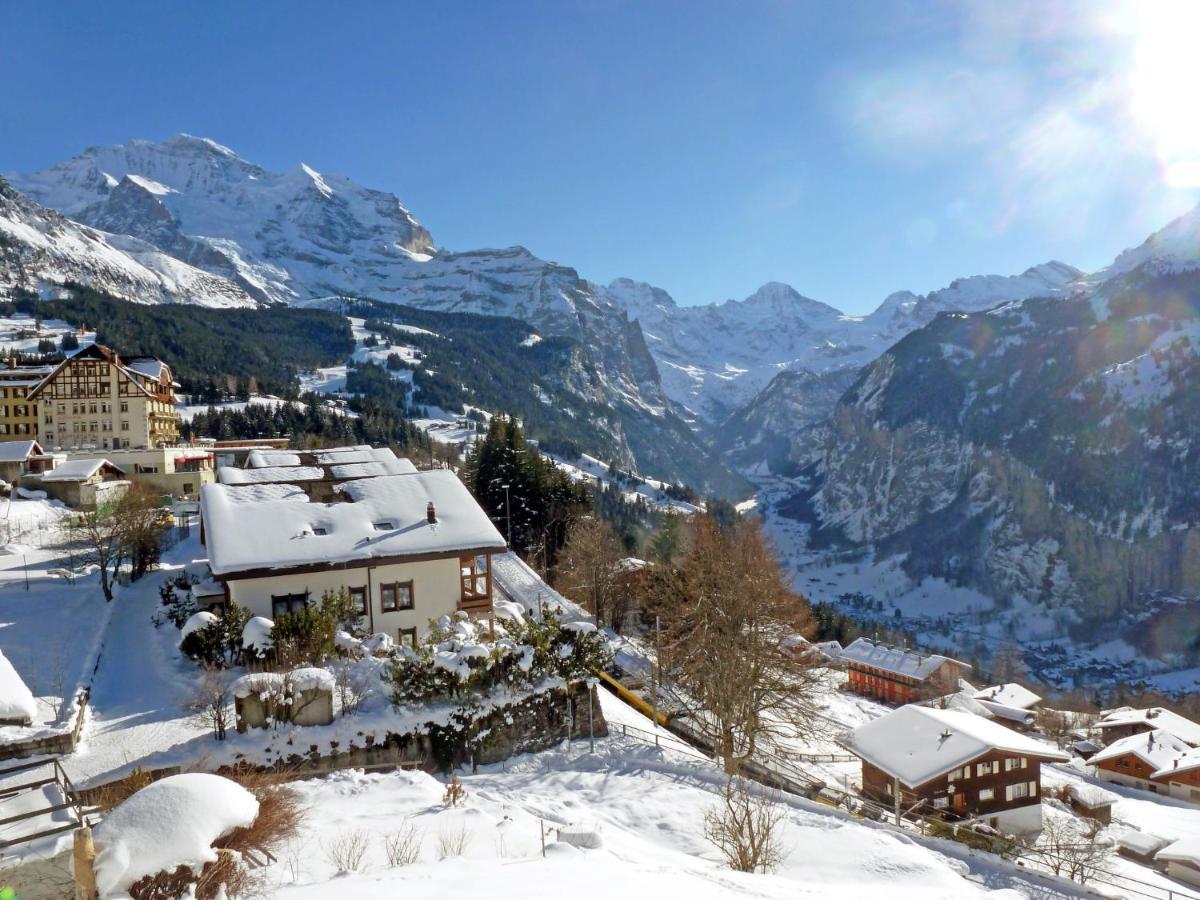 Apartment Primula By Interhome Wengen Buitenkant foto