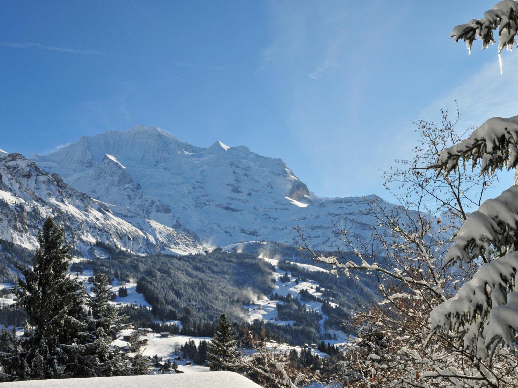Apartment Primula By Interhome Wengen Buitenkant foto
